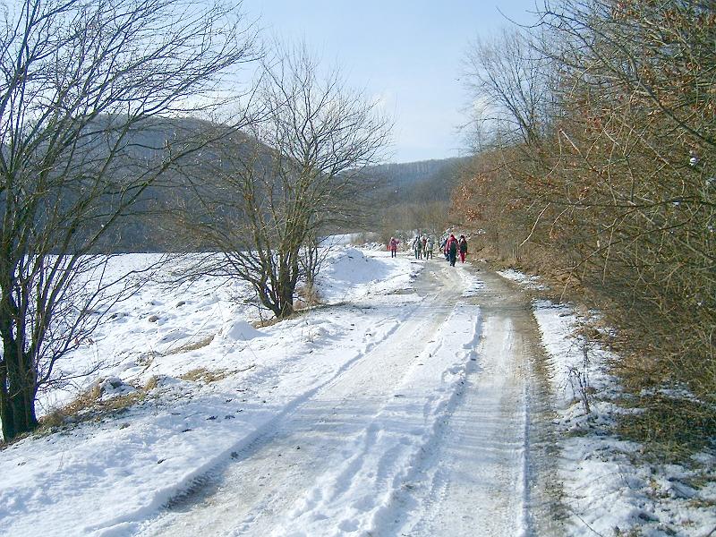 20110122 074.jpg